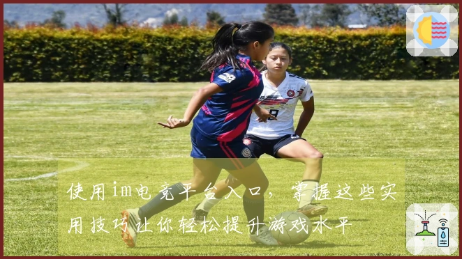 使用im电竞平台入口，掌握这些实用技巧让你轻松提升游戏水平
